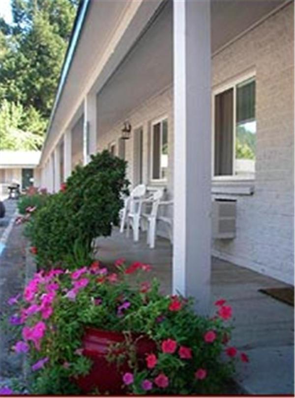 Forest Lodge Motel 해피캠프 외부 사진